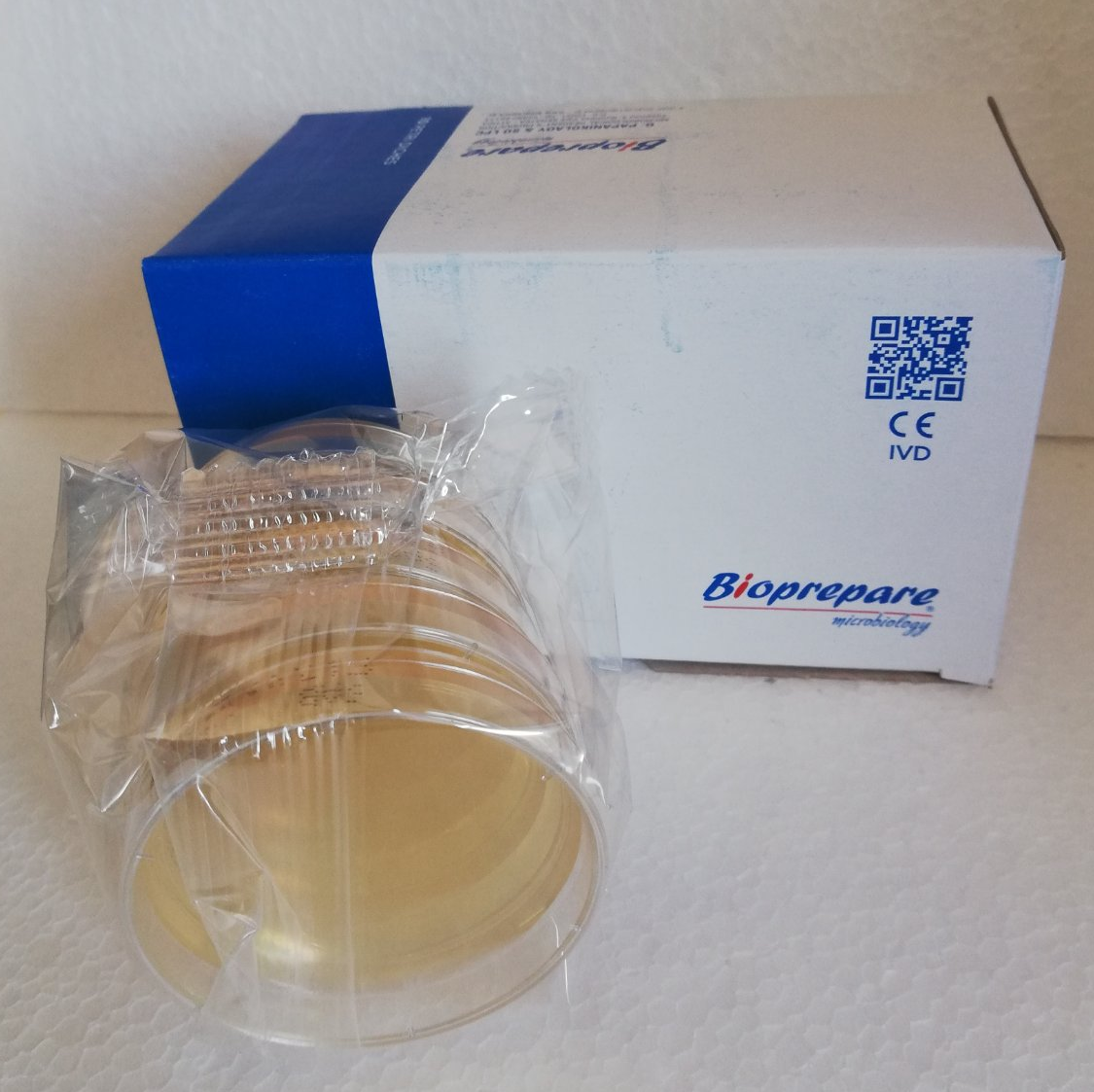 εικόνα_2025-02-10_142802550